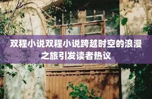 双程小说双程小说跨越时空的浪漫之旅引发读者热议