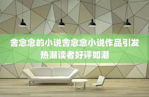 舍念念的小说舍念念小说作品引发热潮读者好评如潮