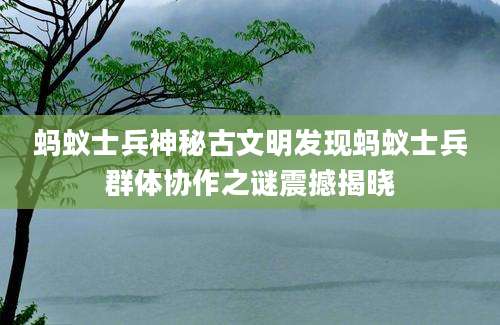 蚂蚁士兵神秘古文明发现蚂蚁士兵群体协作之谜震撼揭晓