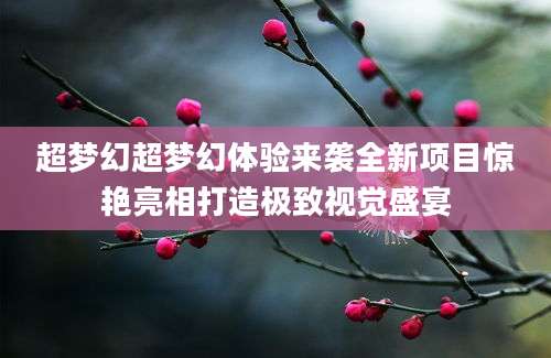 超梦幻超梦幻体验来袭全新项目惊艳亮相打造极致视觉盛宴