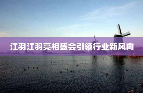 江羽江羽亮相盛会引领行业新风向
