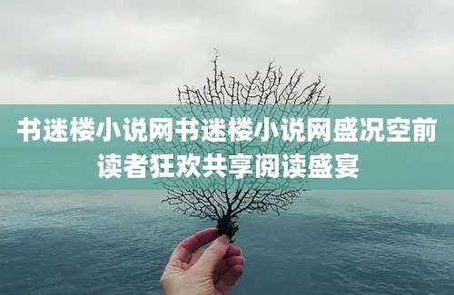 书迷楼小说网书迷楼小说网盛况空前读者狂欢共享阅读盛宴