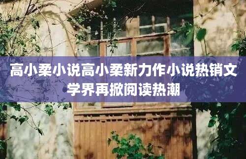 高小柔小说高小柔新力作小说热销文学界再掀阅读热潮
