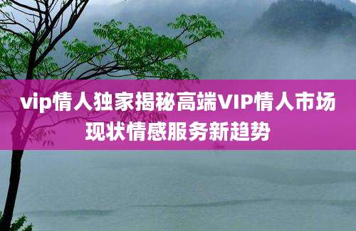 vip情人独家揭秘高端VIP情人市场现状情感服务新趋势