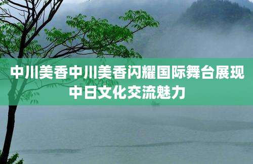 中川美香中川美香闪耀国际舞台展现中日文化交流魅力