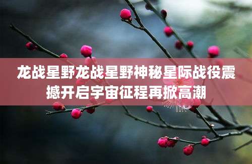 龙战星野龙战星野神秘星际战役震撼开启宇宙征程再掀高潮