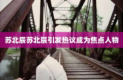 苏北辰苏北辰引发热议成为焦点人物