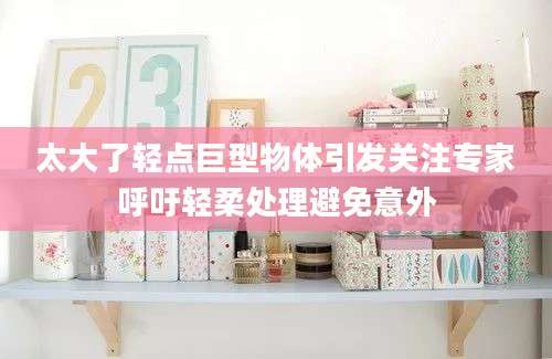 太大了轻点巨型物体引发关注专家呼吁轻柔处理避免意外