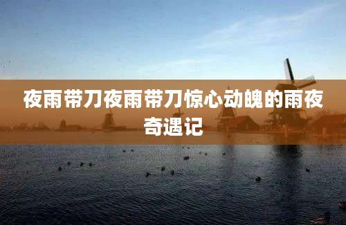 夜雨带刀夜雨带刀惊心动魄的雨夜奇遇记