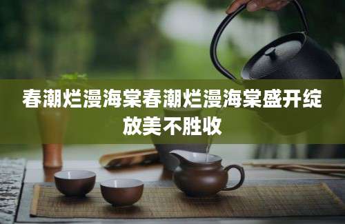 春潮烂漫海棠春潮烂漫海棠盛开绽放美不胜收