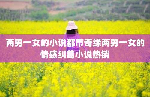 两男一女的小说都市奇缘两男一女的情感纠葛小说热销