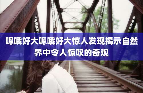 嗯哦好大嗯哦好大惊人发现揭示自然界中令人惊叹的奇观