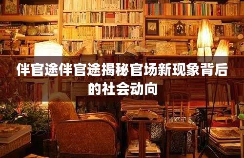 伴官途伴官途揭秘官场新现象背后的社会动向