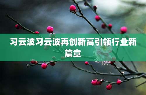 习云波习云波再创新高引领行业新篇章