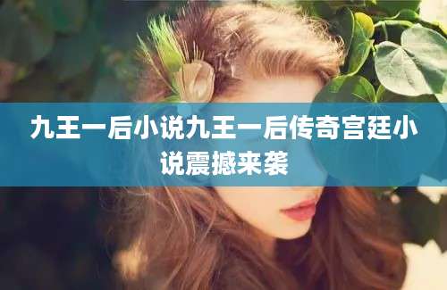 九王一后小说九王一后传奇宫廷小说震撼来袭
