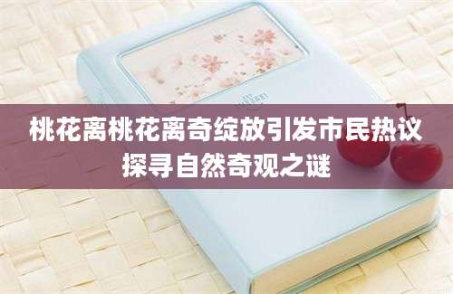 桃花离桃花离奇绽放引发市民热议探寻自然奇观之谜