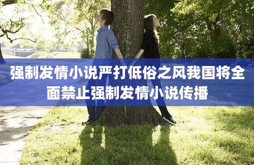 强制发情小说严打低俗之风我国将全面禁止强制发情小说传播