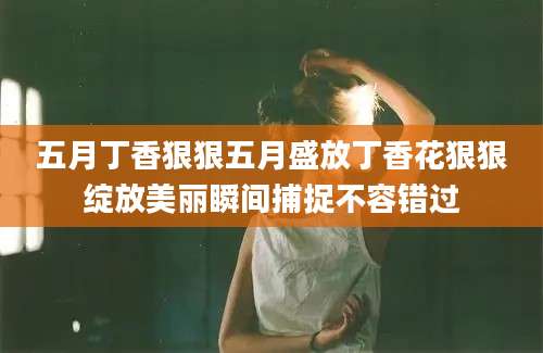 五月丁香狠狠五月盛放丁香花狠狠绽放美丽瞬间捕捉不容错过