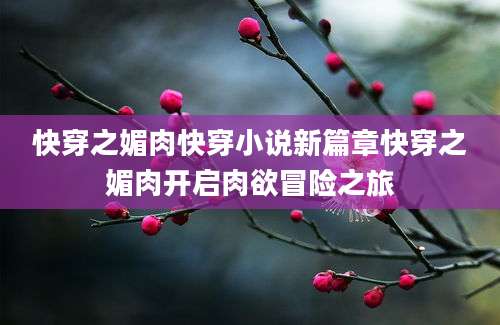 快穿之媚肉快穿小说新篇章快穿之媚肉开启肉欲冒险之旅