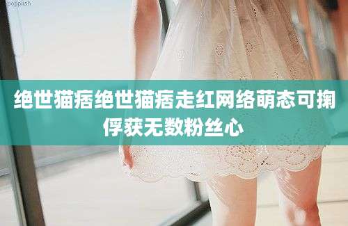 绝世猫痞绝世猫痞走红网络萌态可掬俘获无数粉丝心