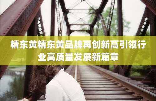 精东黄精东黄品牌再创新高引领行业高质量发展新篇章