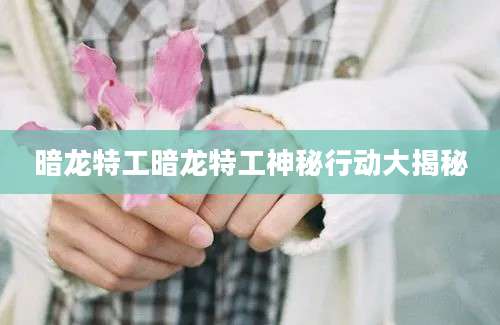 暗龙特工暗龙特工神秘行动大揭秘