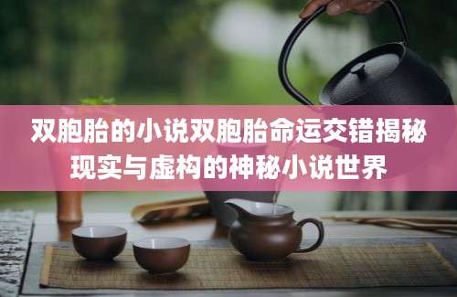 双胞胎的小说双胞胎命运交错揭秘现实与虚构的神秘小说世界