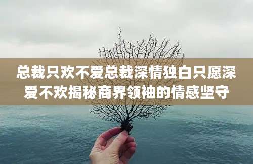 总裁只欢不爱总裁深情独白只愿深爱不欢揭秘商界领袖的情感坚守