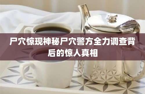 尸穴惊现神秘尸穴警方全力调查背后的惊人真相