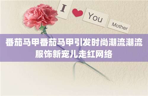 番茄马甲番茄马甲引发时尚潮流潮流服饰新宠儿走红网络