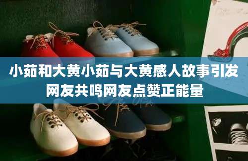 小茹和大黄小茹与大黄感人故事引发网友共鸣网友点赞正能量