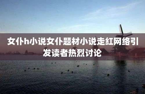 女仆h小说女仆题材小说走红网络引发读者热烈讨论