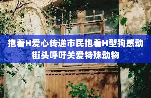 抱着H爱心传递市民抱着H型狗感动街头呼吁关爱特殊动物