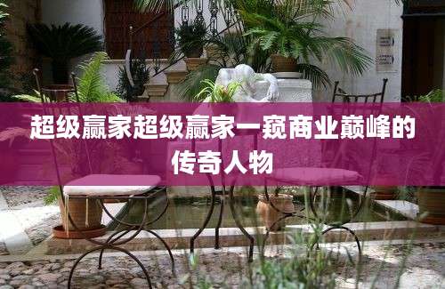 超级赢家超级赢家一窥商业巅峰的传奇人物