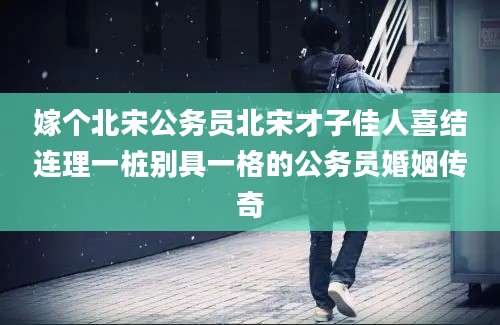 嫁个北宋公务员北宋才子佳人喜结连理一桩别具一格的公务员婚姻传奇