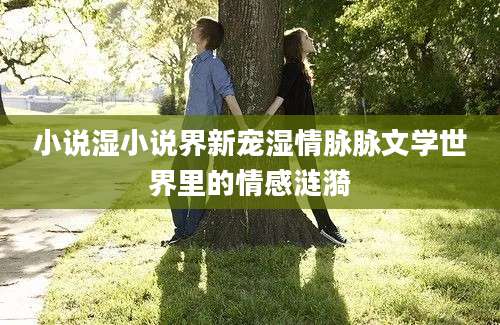 小说湿小说界新宠湿情脉脉文学世界里的情感涟漪