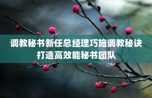 调教秘书新任总经理巧施调教秘诀打造高效能秘书团队