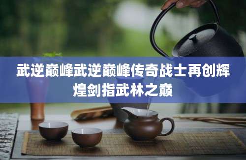 武逆巅峰武逆巅峰传奇战士再创辉煌剑指武林之巅