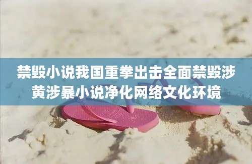 禁毁小说我国重拳出击全面禁毁涉黄涉暴小说净化网络文化环境