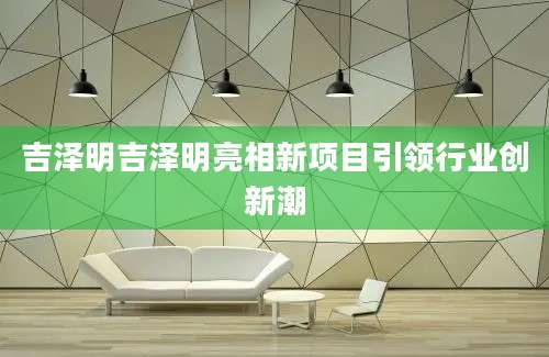 吉泽明吉泽明亮相新项目引领行业创新潮