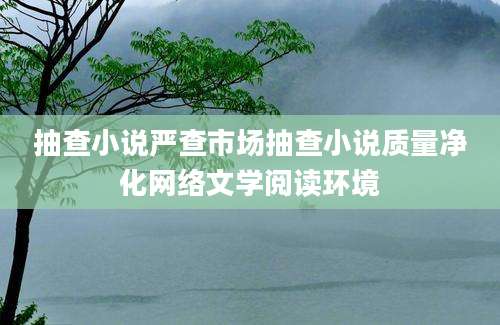 抽查小说严查市场抽查小说质量净化网络文学阅读环境
