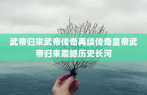 武帝归来武帝传奇再续传奇皇帝武帝归来震撼历史长河