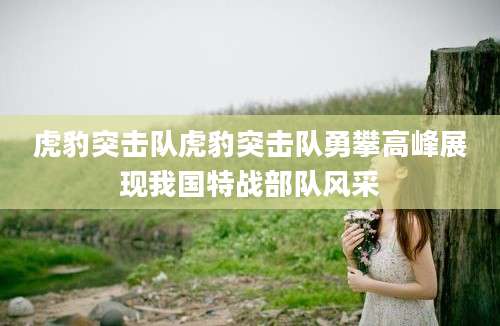 虎豹突击队虎豹突击队勇攀高峰展现我国特战部队风采