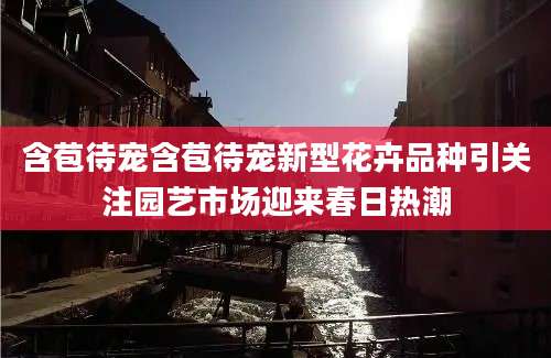 含苞待宠含苞待宠新型花卉品种引关注园艺市场迎来春日热潮