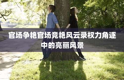 官场争艳官场竞艳风云录权力角逐中的亮丽风景