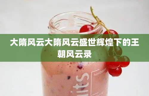 大隋风云大隋风云盛世辉煌下的王朝风云录