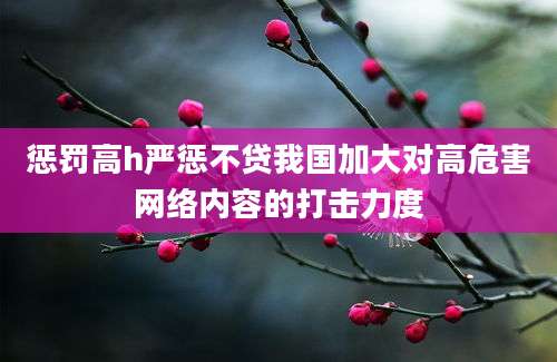 惩罚高h严惩不贷我国加大对高危害网络内容的打击力度