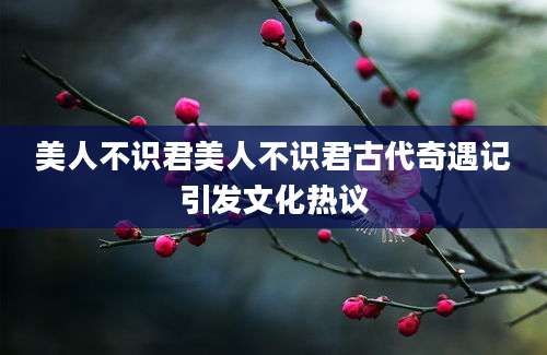 美人不识君美人不识君古代奇遇记引发文化热议
