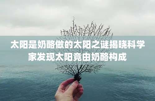 太阳是奶酪做的太阳之谜揭晓科学家发现太阳竟由奶酪构成