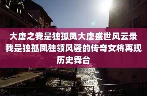 大唐之我是独孤凤大唐盛世风云录我是独孤凤独领风骚的传奇女将再现历史舞台